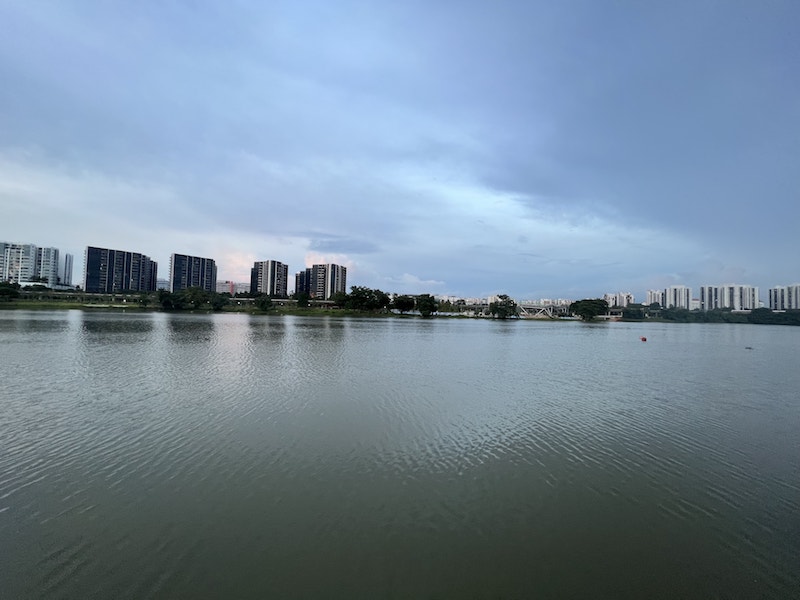 Lake_View_From_Jurong_Lake_Gardens_Where_SORA_Condo_at_Lakeside_Jurong_By_Chip_Eng_Seng,_SingHaiyi_Group_and_KSH_Holdings