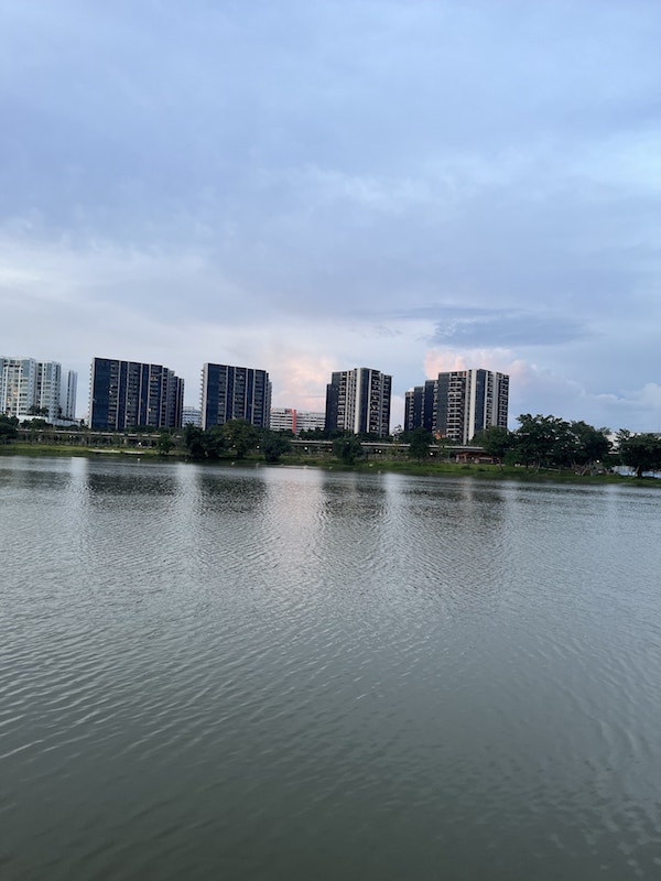 Scenic View from Jurong Lake Garden Next to SORA Condo at Lakeside Jurong, Developed by Chip Eng Seng, SingHaiyi Group, and KSH Holdings